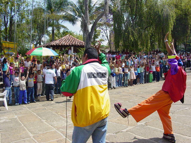 PALMAS DEL SOCORRO